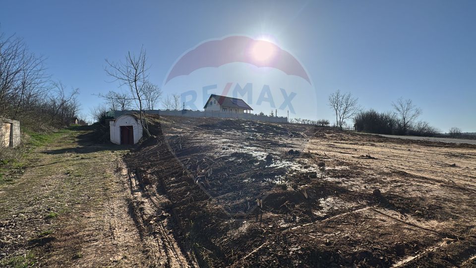 Land 1,106sqm Paleu / Drumul Principal