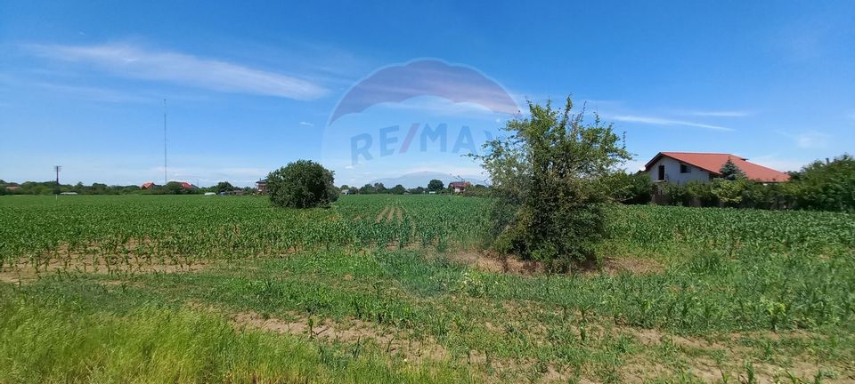 Teren intravilan de vanzare in Vladiceasca, 4370 mp, ideal investitie