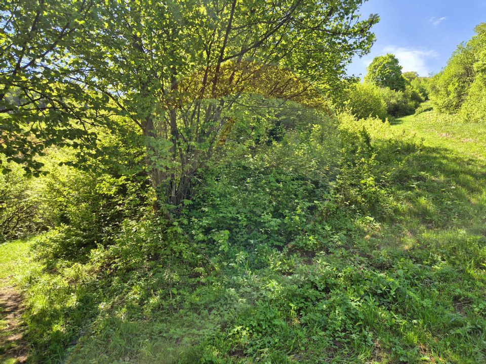 Teren intravilan 1,577mp Brasov / Schei/  constructii fara fundatie!