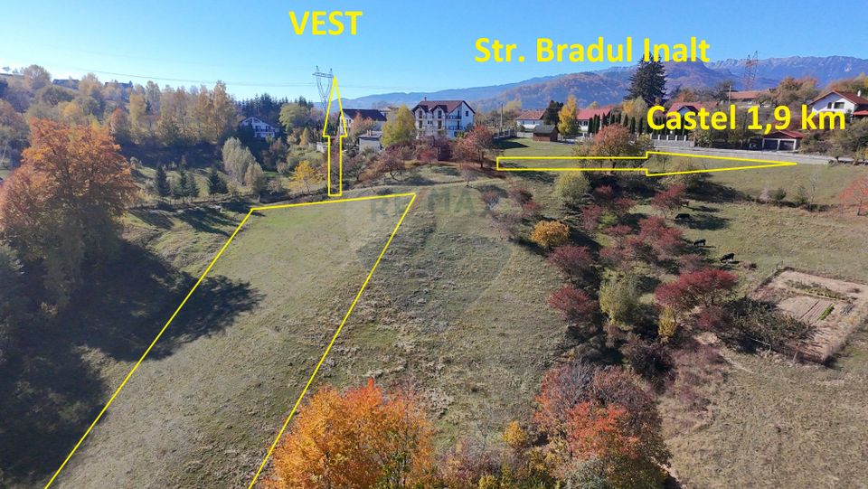 Land 3,500sqm Bran / Strada Bradul Inalt