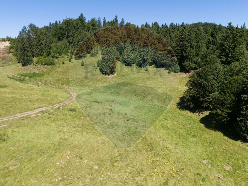 Teren intravilan, 6000mp Dambovicioara / DN 73- dealul sasului!