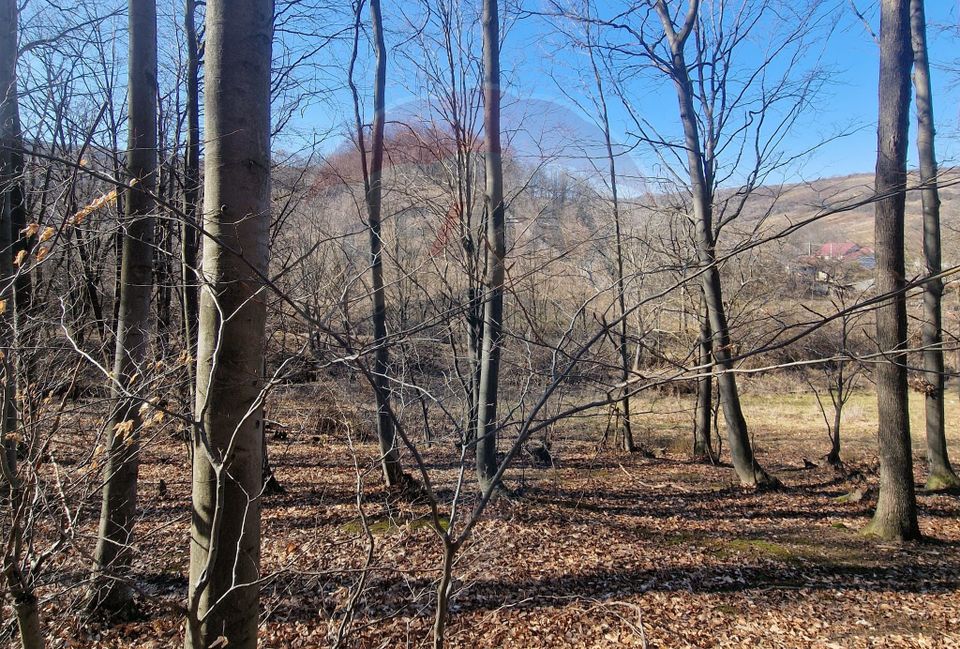 Land 4,985sqm Sascut / None