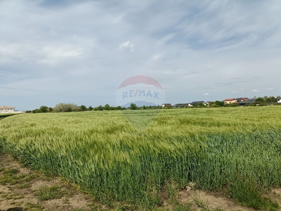 Land 8,236sqm Tamasi / Aleea veronica