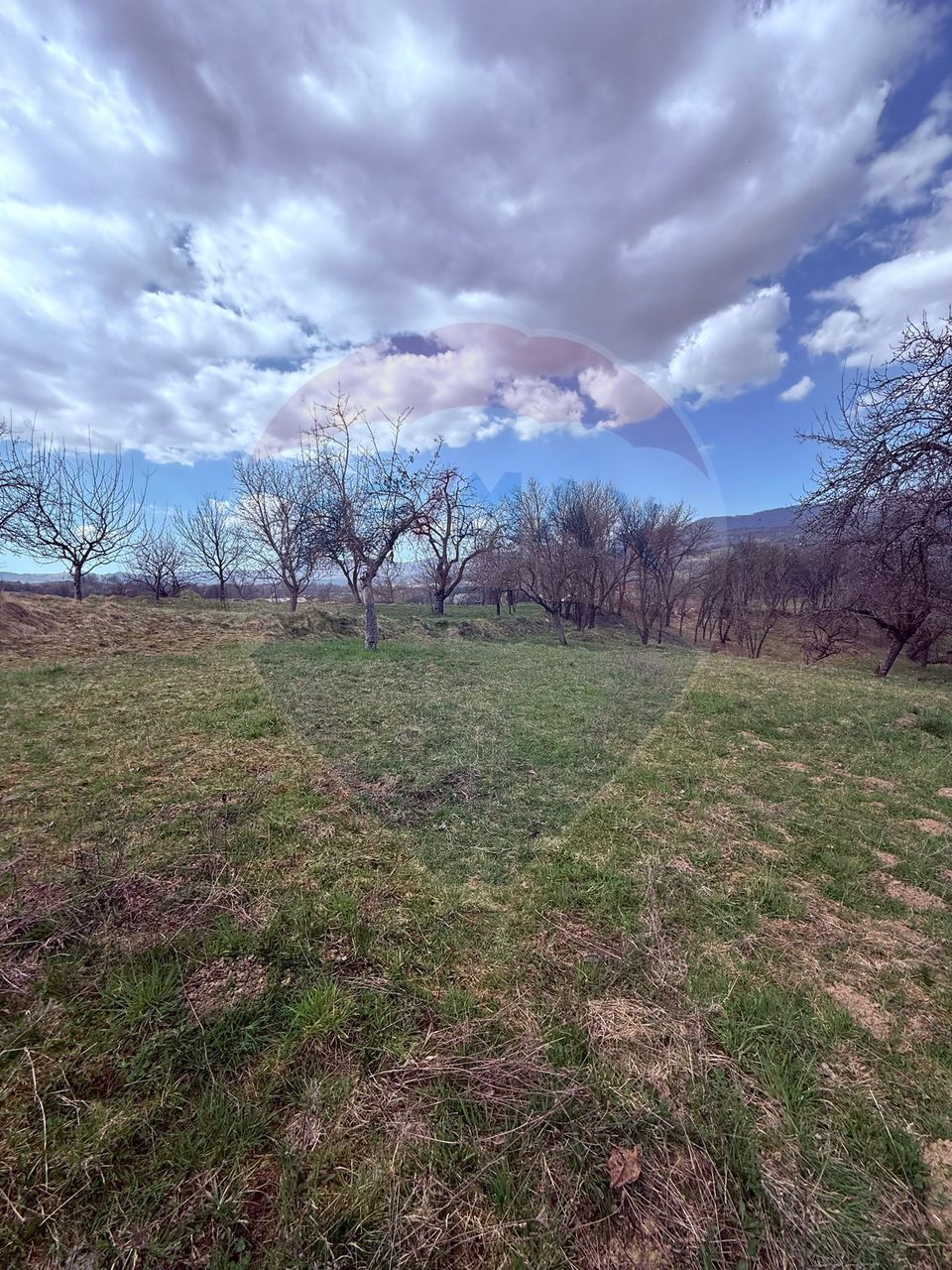 Teren 6,377mp Harnicesti / Strada Principala