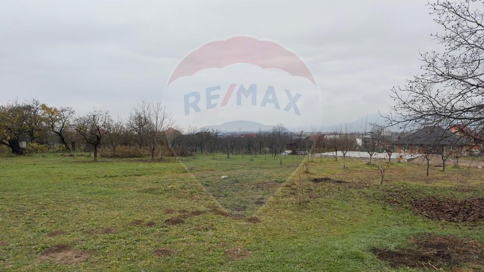 Land 938.5sqm Grosi / Strada Carbuneasca