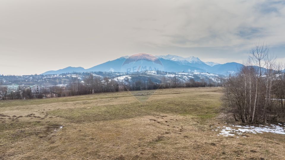 Land 4,500sqm Tohanu Nou / Strada Cernilei