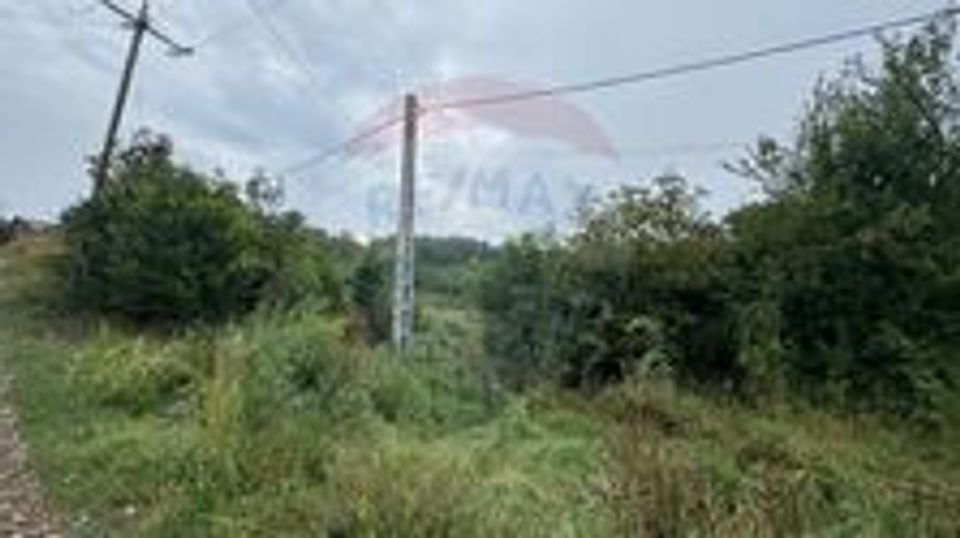 Teren 3542mp Campia Turzii COMISION 0%