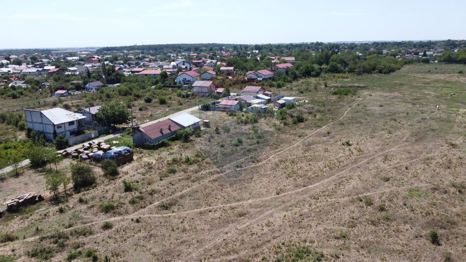 Land 40,000sqm Mogosoaia / Strada Teiului