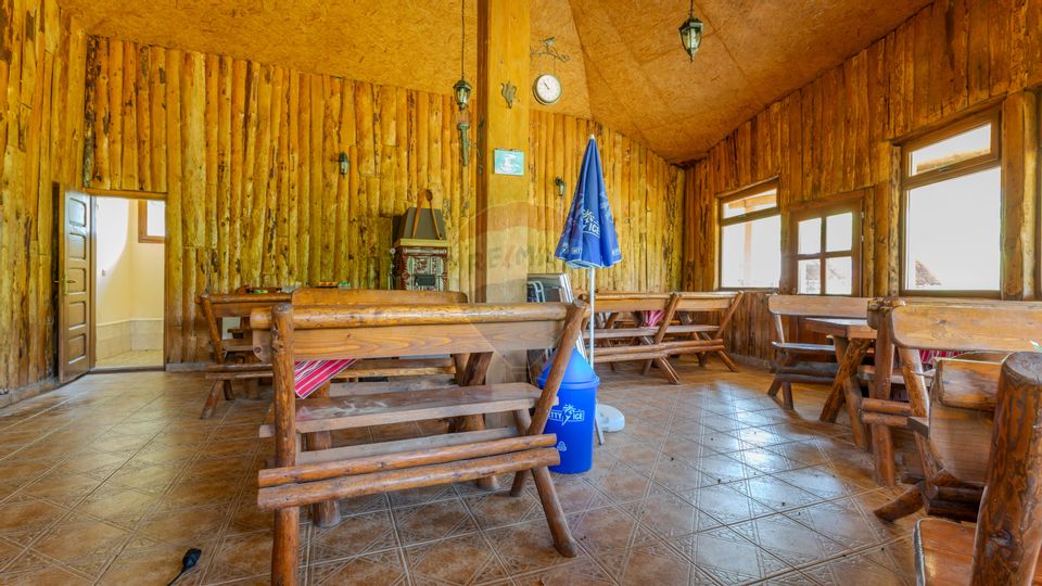 Hotel / Pensiune cu 10 camere de vânzare/Vama Buzaului