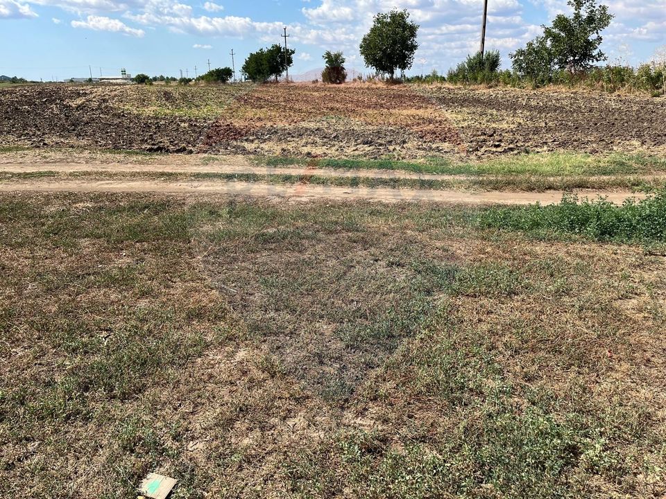 Built-up land 4000sqm opening 150m, Fundulea, Micsunelelor Street