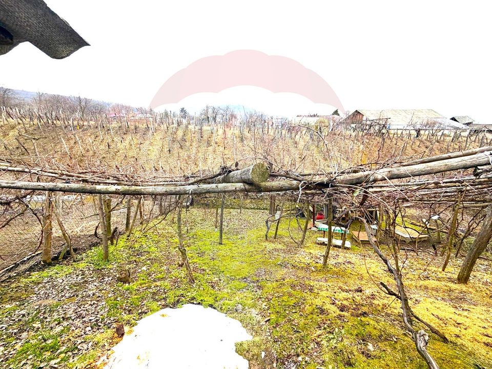 Casă 3 camere de vânzare – Gârleni, sat Lespezi, Str. Frunzei