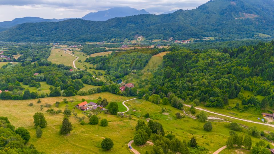 Land 2,410sqm Bran / Strada Pănicer