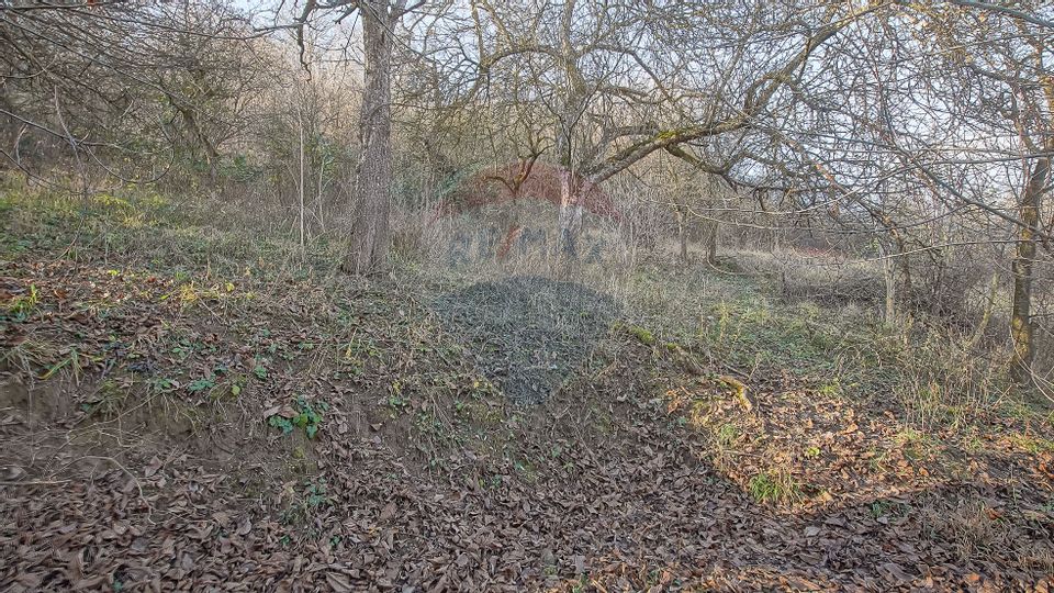 2 room House / Villa for sale, Schei area