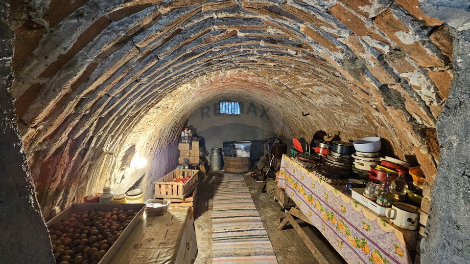 Casă / Vilă cu 3 camere de vânzare-Cacica-Suceava