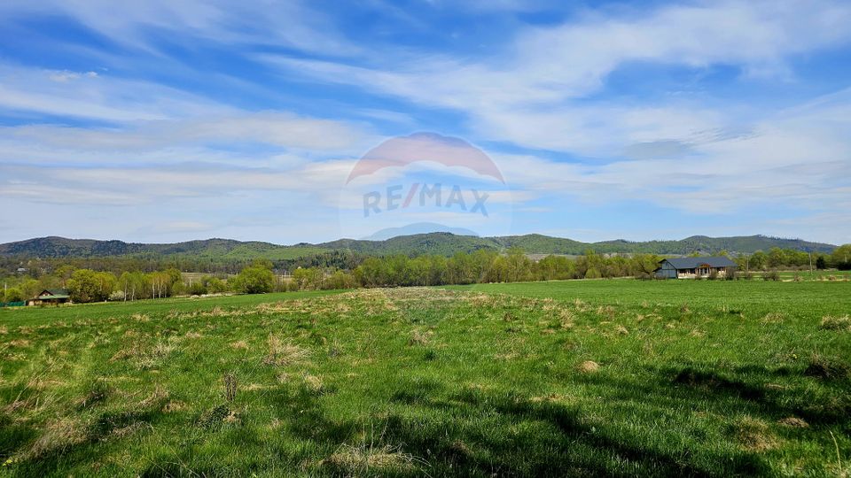 Land 10,000sqm Nemtisor / DJ 155C