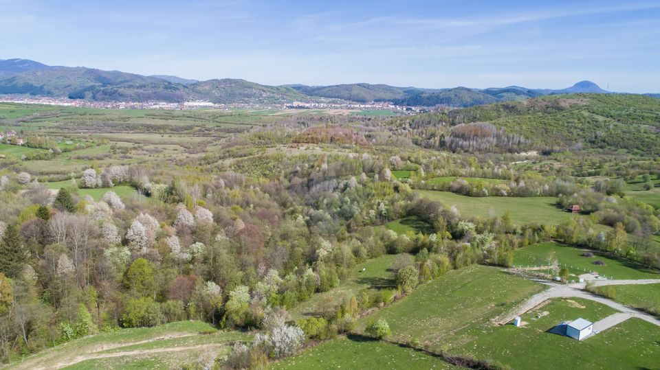 Land 6,800sqm Bran / Strada Tohanita