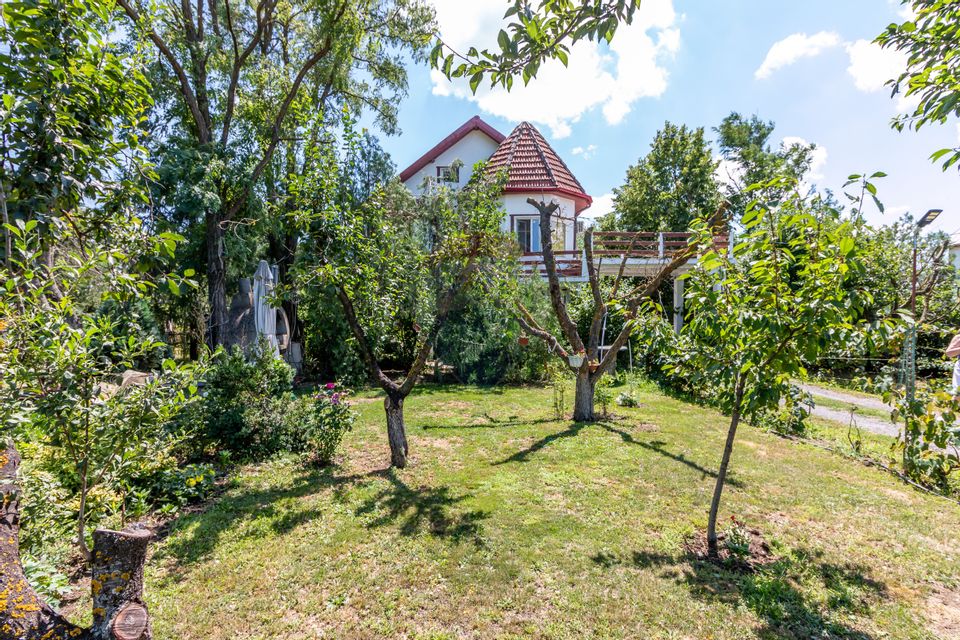 Casa+Laborator+ Teren 12.700 mp + casa de vacanta - Bolintin Vale