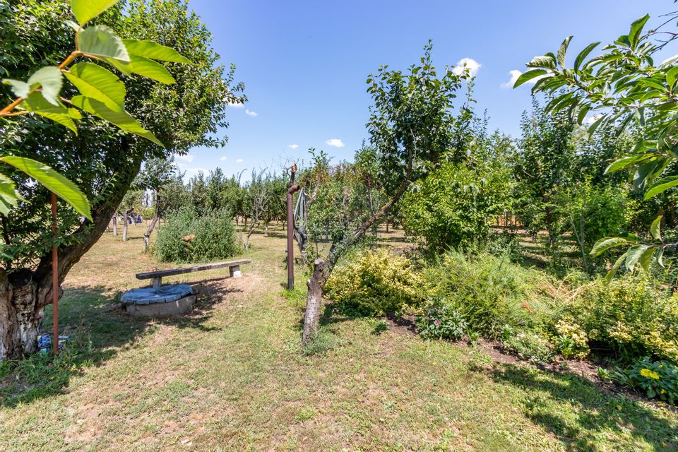 Casa+Laborator+ Teren 12.700 mp + casa de vacanta - Bolintin Vale