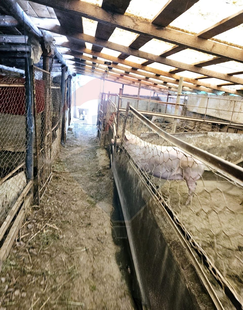 Casă / Vilă cu 5 camere de vânzare