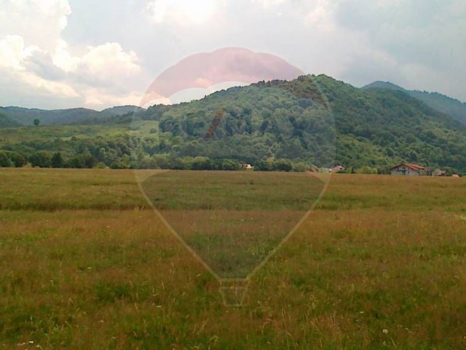 Teren Rasnov -Glajerie, Strada Greierilor, 1000mp