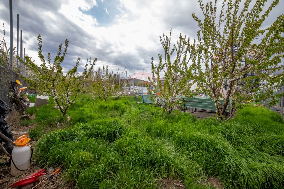 21 room Hotel / Pension for sale, Calea Romanului area