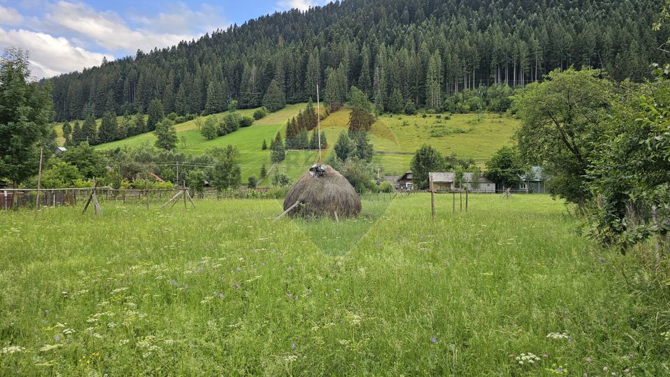 Casa 225 mp, teren intravilan 4822 mp C. Moldovenesc, Suceava