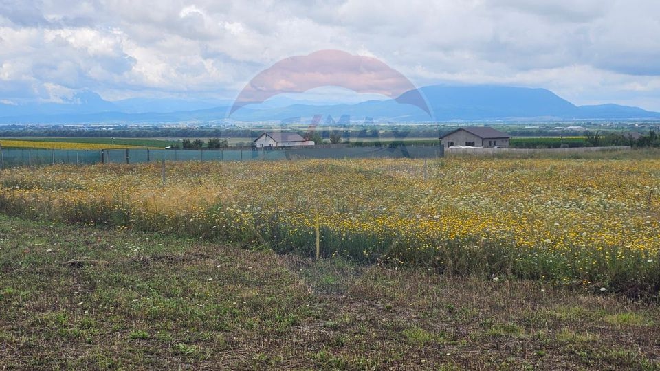 Teren Bod Strada Brasovului