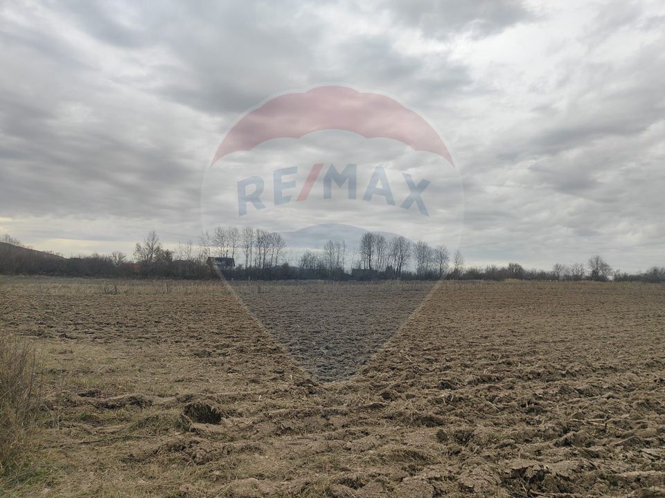 Land 11,900sqm Fardea / Drumul principal