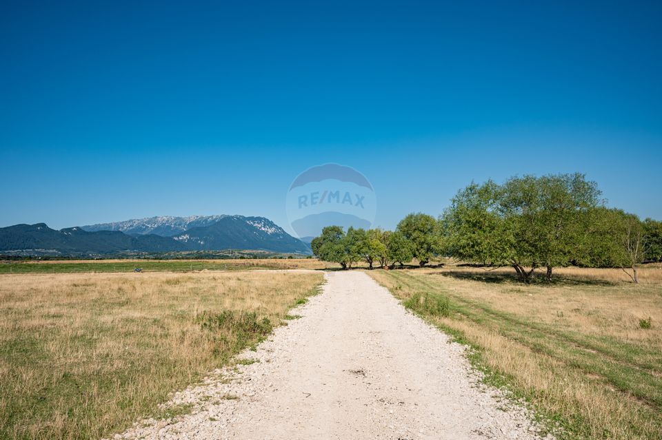 Land 23,000sqm Rasnov / Strada Glajerie-Raul Mare