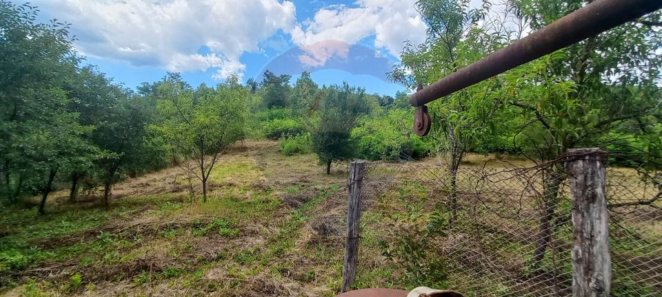 Land 3,551sqm Poiana Copaceni / Strada Poiana Copaceni