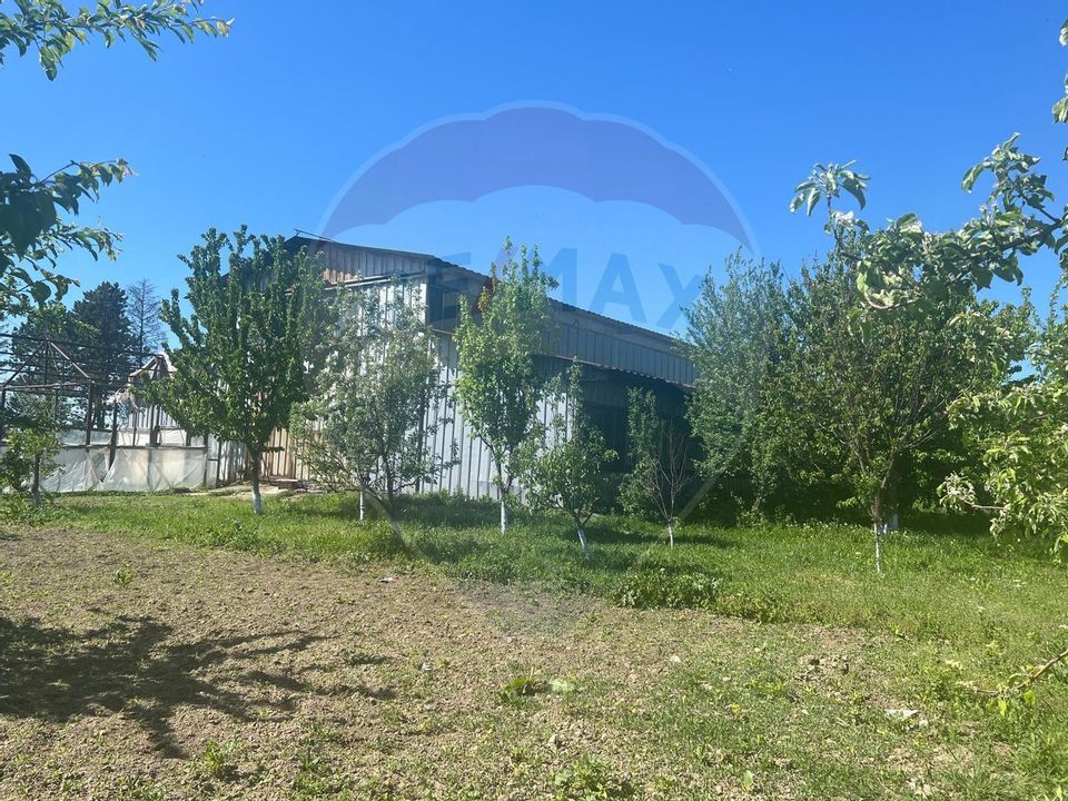 Spațiu industrial Campineanca