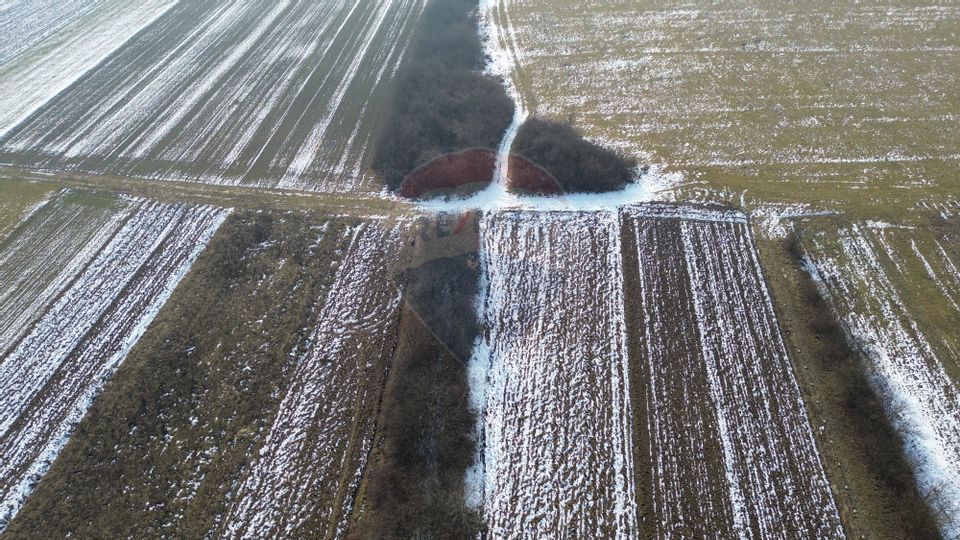 Teren de vânzare în Satulung Șoseaua Mogoșești