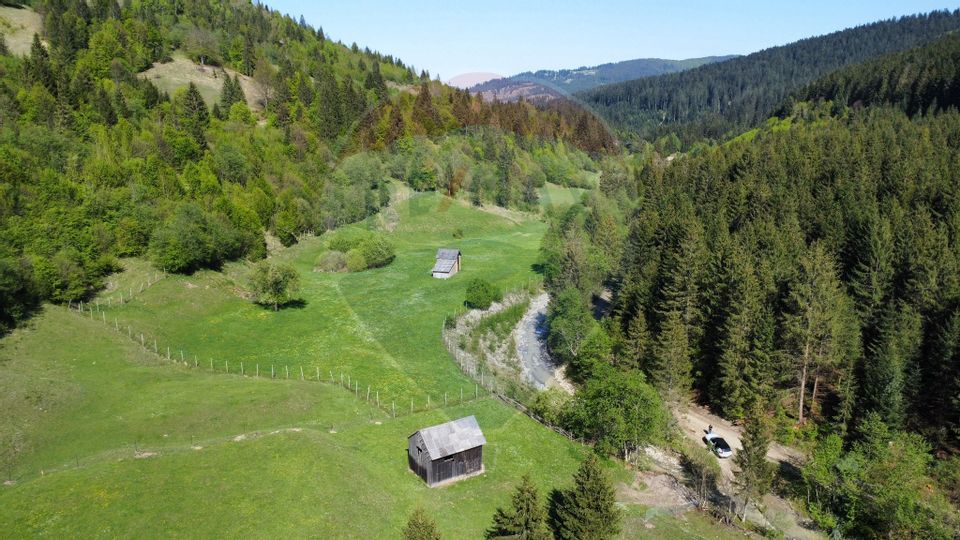 Land 12,127sqm Frasin / Drumul Forestier Valea Seacă