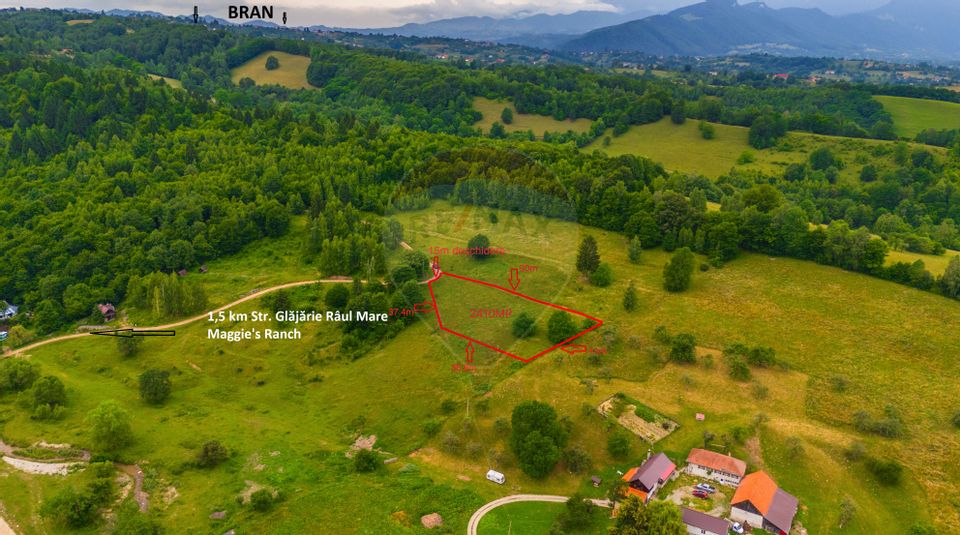 Land 2,410sqm Rasnov / Strada Valea Panicelului FN