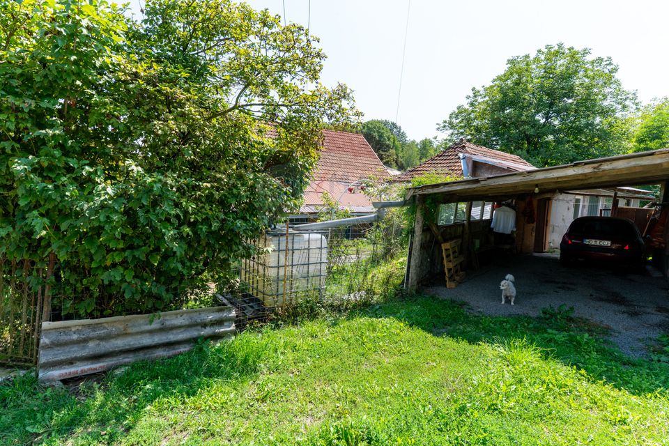 Casă / Vilă cu 10 camere amplasate in 2 corpuri de cladire de vanzare