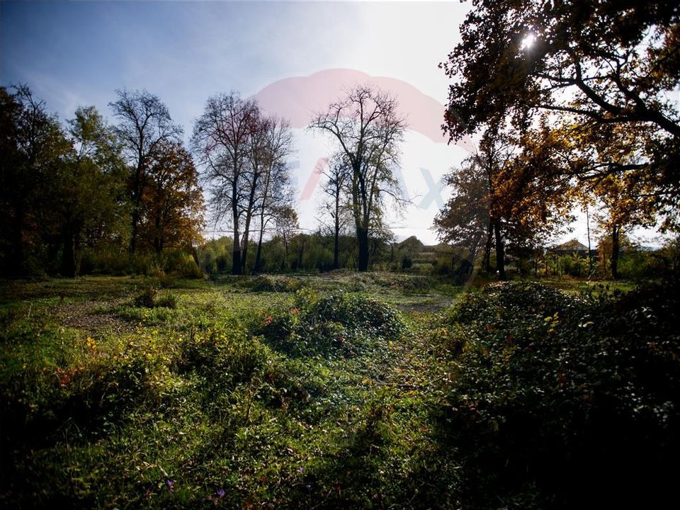 Domeniu Baronial de vanzare in localitatea CIL , Judet Arad