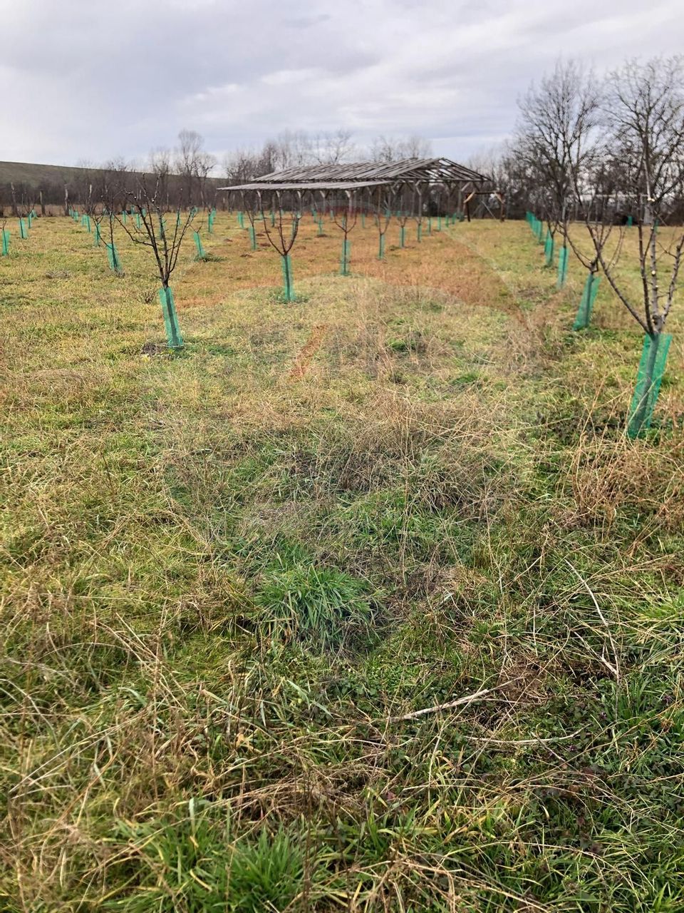 Land 6,000sqm Lugasu de Jos / Strada principala