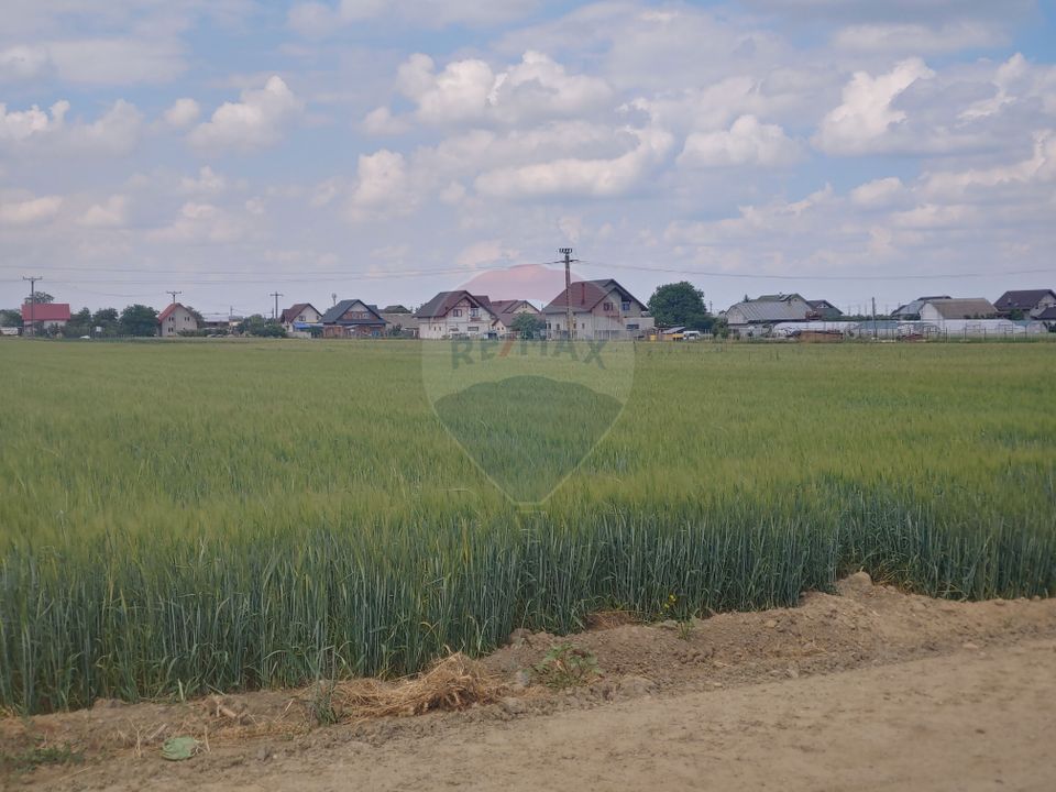 Teren intravilan 6,600mp Dumbraveni / Strada Principala spre Veresti