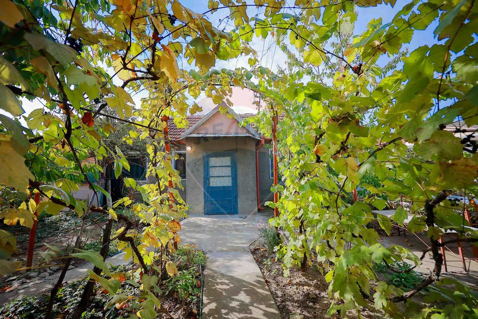 Casă cu 2 camere de vânzare în zona Ioșia Strada Arțarilor