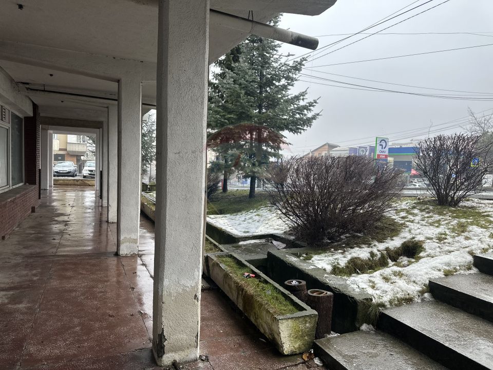 166sq.m Commercial Space for rent, Calea Romanului area