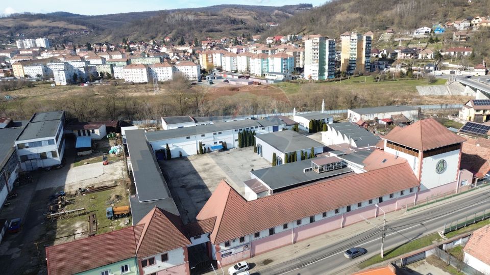 Fabrica de preparate si conserve din carne  la Medias