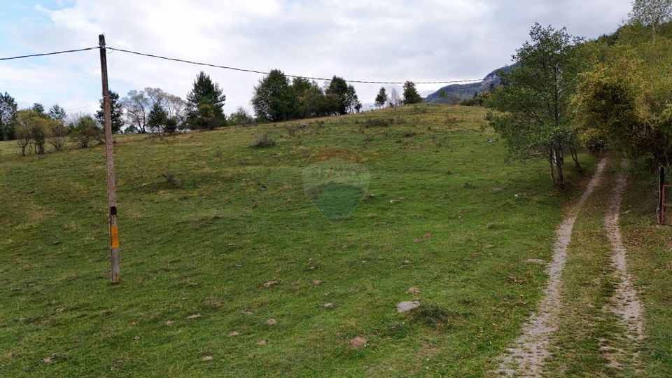 Land 592sqm Zarnesti / Strada FN