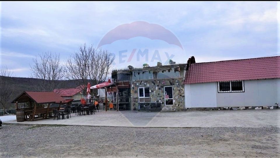 Afacere, tip BAR cu teresa in Traian-Zapodia