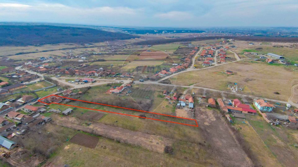 De vânzare Casā + Teren 2685 mp Intravilan, Betfia, Bihor
