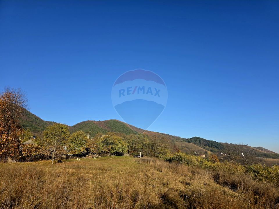 Land 6,874sqm Alexandru cel Bun / Strada plopusor