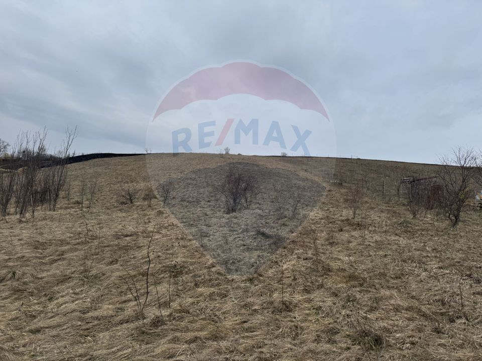 Land 2,307sqm Salicea / Strada Pricipala