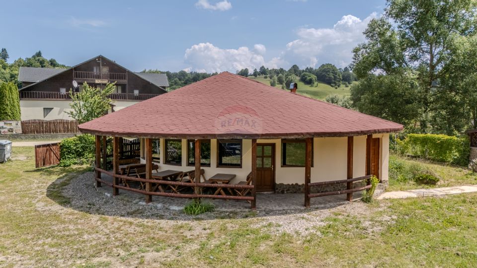 Hotel / Pensiune cu 10 camere de vânzare/Vama Buzaului