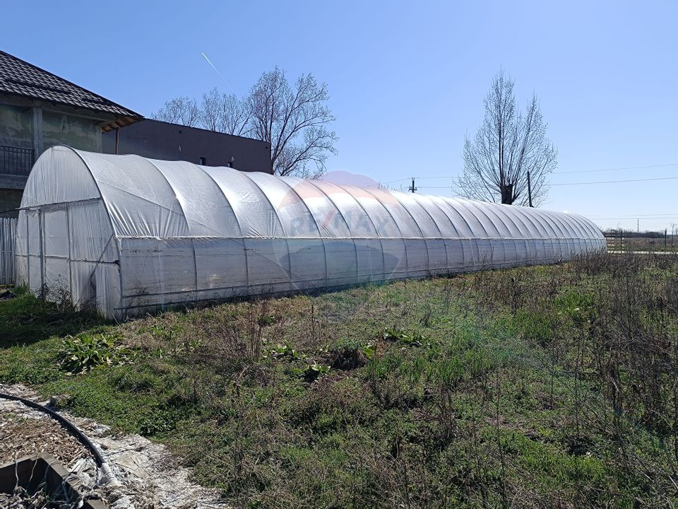 Teren Caciulati - Balotesti / Soseaua Unirii
