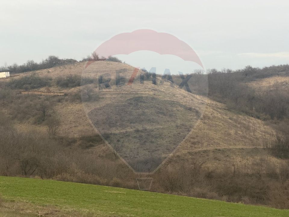 Land 18,800sqm Criseni / Strada principala