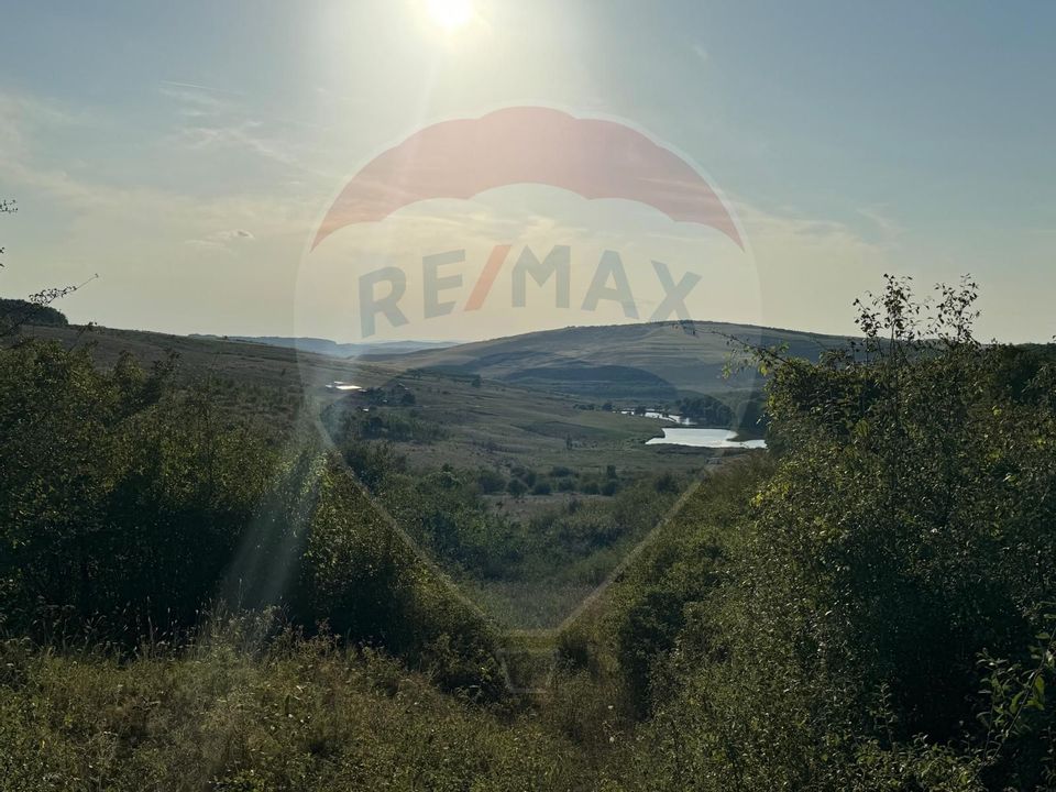 Land 50,000sqm Caianu-Vama / Strada Principala